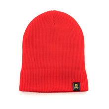 Load image into Gallery viewer, Beanie with Ted Logo