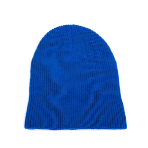 Beanie with Ted Logo