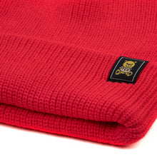 Load image into Gallery viewer, Beanie with Ted Logo
