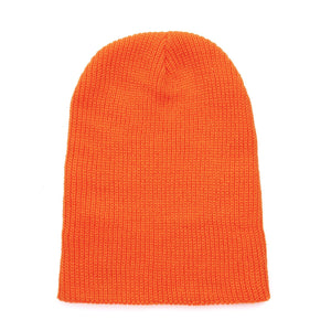 Beanie with Ted Logo