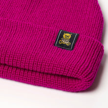 Load image into Gallery viewer, Beanie with Ted Logo
