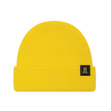 Load image into Gallery viewer, Beanie with Ted Logo
