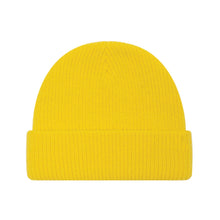 Load image into Gallery viewer, Beanie with Ted Logo
